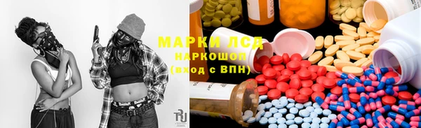 прущие грибы Богородск