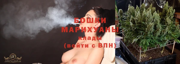 прущие грибы Богородск