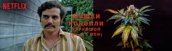 кокс Богородицк