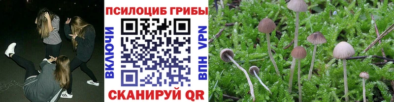наркотики  Дигора  Псилоцибиновые грибы прущие грибы 